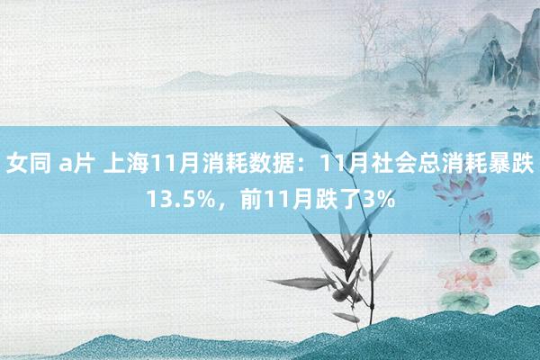 女同 a片 上海11月消耗数据：11月社会总消耗暴跌13.5%，前11月跌了3%