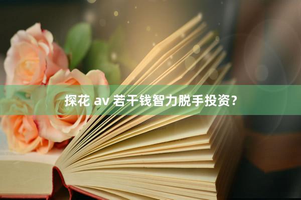 探花 av 若干钱智力脱手投资？