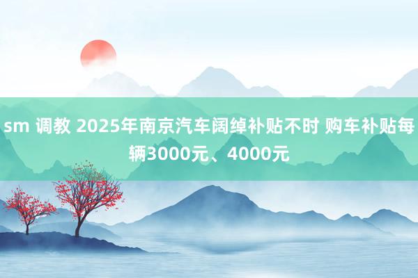 sm 调教 2025年南京汽车阔绰补贴不时 购车补贴每辆3000元、4000元