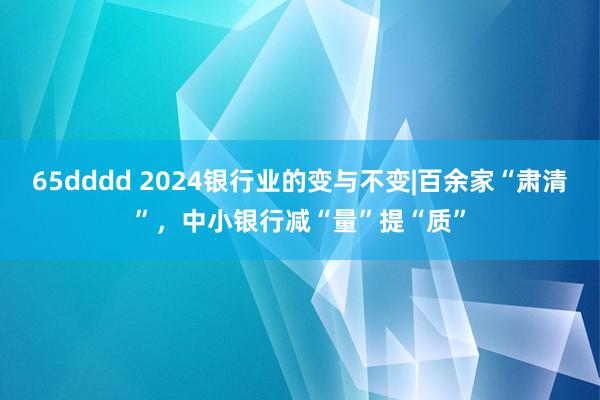 65dddd 2024银行业的变与不变|百余家“肃清”，中小银行减“量”提“质”