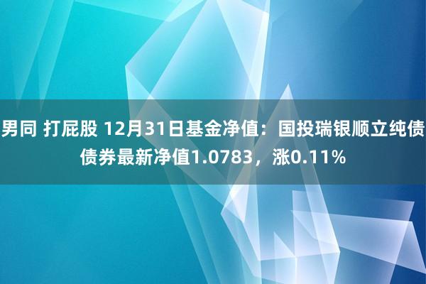 男同 打屁股 12月31日基金净值：国投瑞银顺立纯债债券最新净值1.0783，涨0.11%