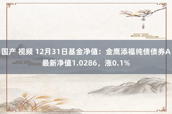 国产 视频 12月31日基金净值：金鹰添福纯债债券A最新净值1.0286，涨0.1%