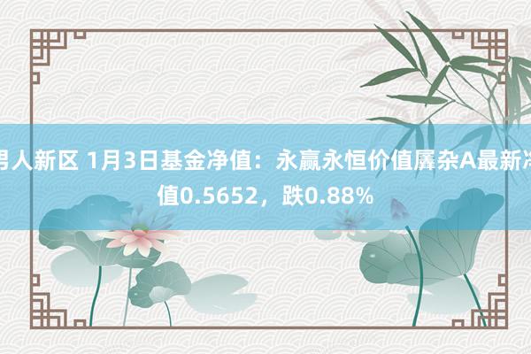 男人新区 1月3日基金净值：永赢永恒价值羼杂A最新净值0.5652，跌0.88%