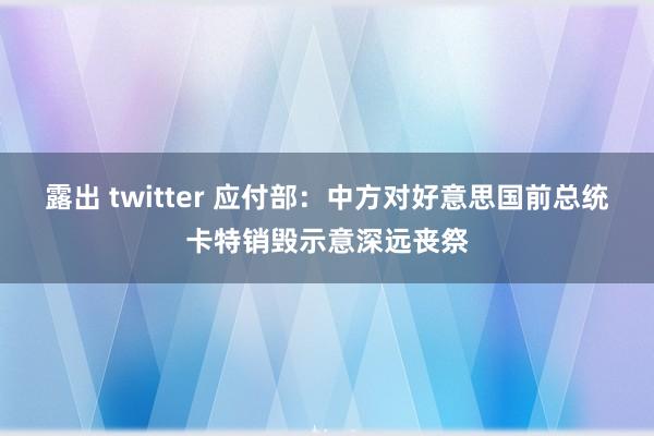 露出 twitter 应付部：中方对好意思国前总统卡特销毁示意深远丧祭