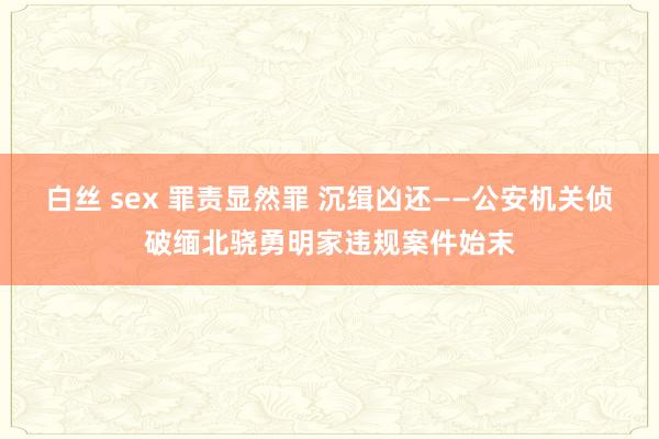 白丝 sex 罪责显然罪 沉缉凶还——公安机关侦破缅北骁勇明家违规案件始末