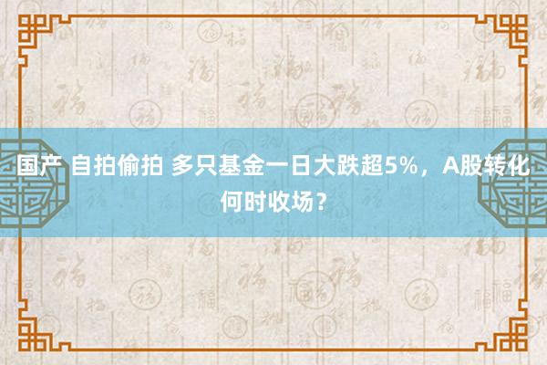 国产 自拍偷拍 多只基金一日大跌超5%，A股转化何时收场？