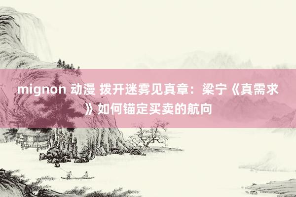 mignon 动漫 拨开迷雾见真章：梁宁《真需求》如何锚定买卖的航向