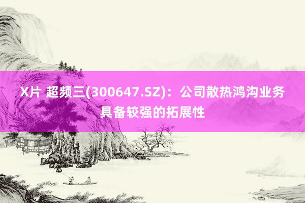 X片 超频三(300647.SZ)：公司散热鸿沟业务具备较强的拓展性