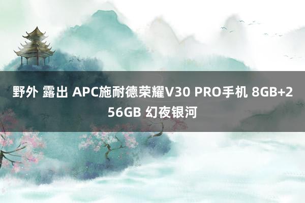 野外 露出 APC施耐德荣耀V30 PRO手机 8GB+256GB 幻夜银河