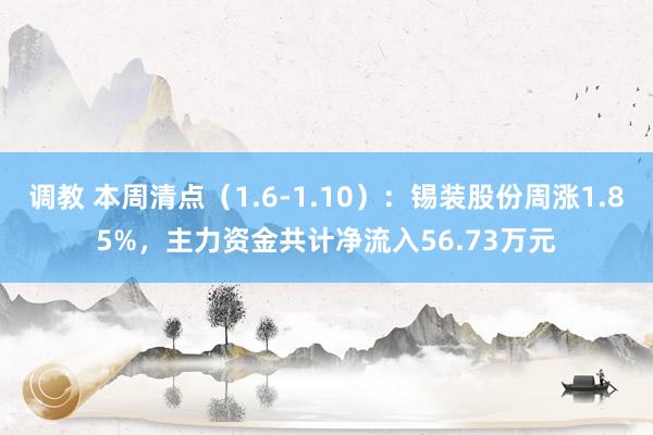 调教 本周清点（1.6-1.10）：锡装股份周涨1.85%，主力资金共计净流入56.73万元