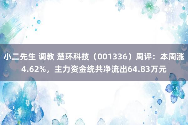 小二先生 调教 楚环科技（001336）周评：本周涨4.62%，主力资金统共净流出64.83万元