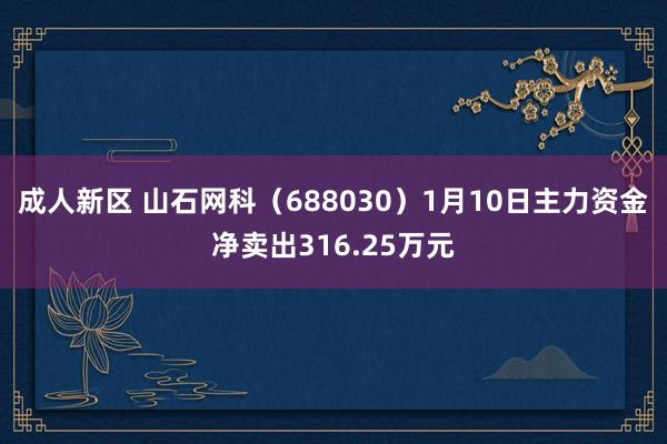 成人新区 山石网科（688030）1月10日主力资金净卖出316.25万元