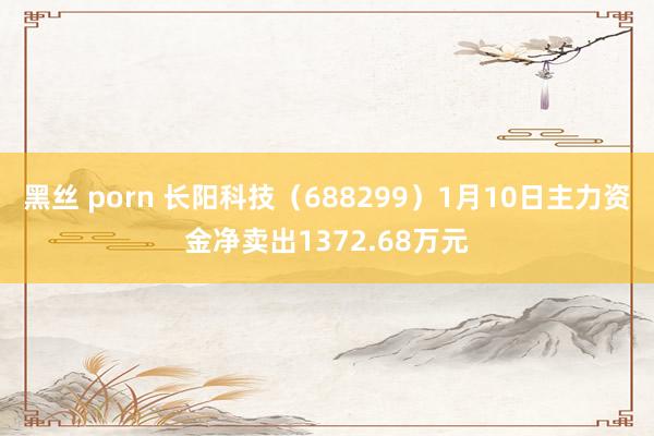 黑丝 porn 长阳科技（688299）1月10日主力资金净卖出1372.68万元