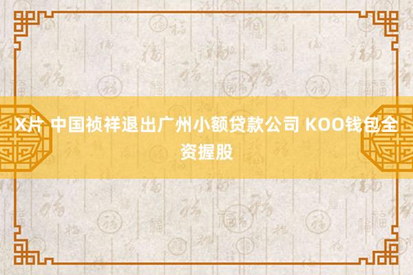 X片 中国祯祥退出广州小额贷款公司 KOO钱包全资握股