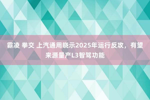 霸凌 拳交 上汽通用晓示2025年运行反攻，有望来源量产L3智驾功能