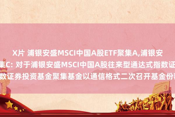 X片 浦银安盛MSCI中国A股ETF聚集A，浦银安盛MSCI中国A股ETF聚集C: 对于浦银安盛MSCI中国A股往来型通达式指数证券投资基金聚集基金以通信格式二次召开基金份额抓有东说念主大会的公告