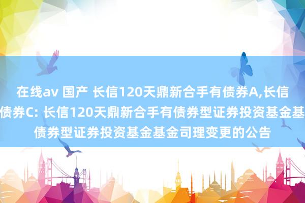 在线av 国产 长信120天鼎新合手有债券A，长信120天鼎新合手有债券C: 长信120天鼎新合手有债券型证券投资基金基金司理变更的公告