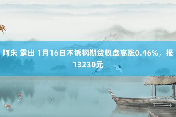 阿朱 露出 1月16日不锈钢期货收盘高涨0.46%，报13230元