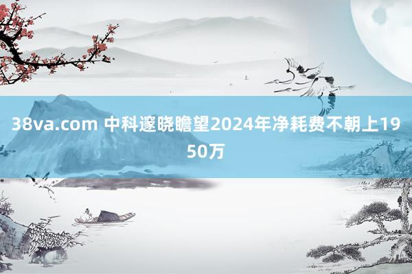 38va.com 中科邃晓瞻望2024年净耗费不朝上1950万